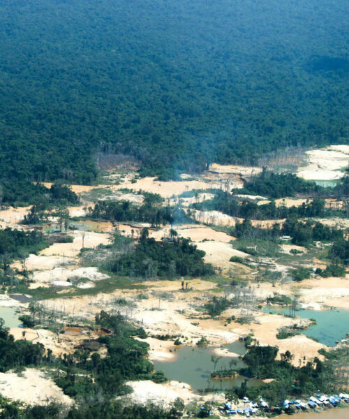 Comissão temporária sobre situação Yanomami define plano de trabalho