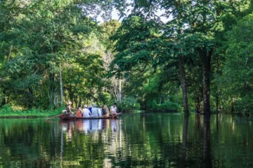 Projeto inspirado nos EUA planeja criar o “MIT da Amazônia”