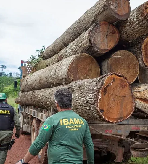 Ibama cria grupo especializado para fiscalizar fraudes em sistemas de controle florestal