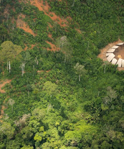 Terras indígenas isoladas são as mais ameaçadas da Amazônia