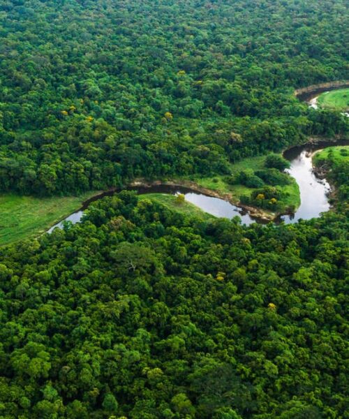 Fundo Amazônia e fim de desmate podem render R$ 95 bilhões em dez anos