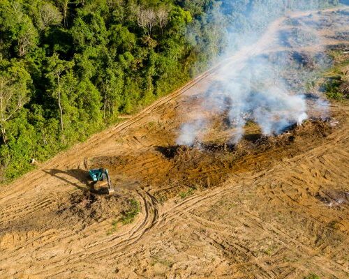 Estudo aponta que 32% das áreas queimadas na Amazônia são terras agrícolas
