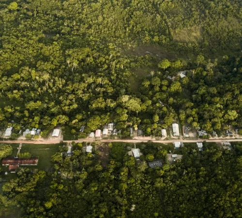 No governo Bolsonaro, apenas 19 comunidades quilombolas da Amazônia Legal foram tituladas