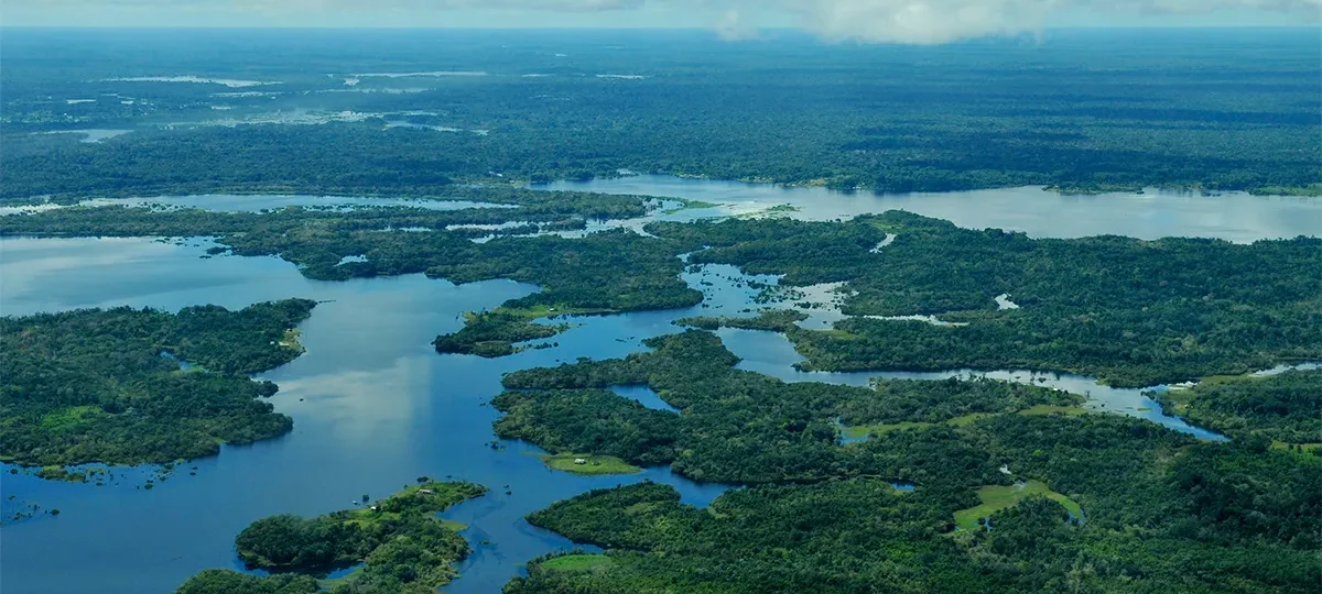 1º Fórum de Meio Ambiente e Sustentabilidade na Amazônia e 1º Fórum Carbono acontecerão de forma simultânea em Manaus