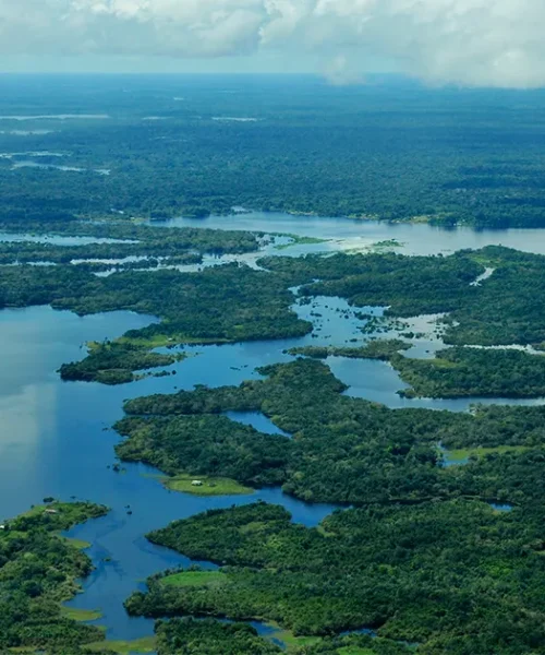 Mesmo com sinais de queda em 2023, desmatamento segue alto na Amazônia
