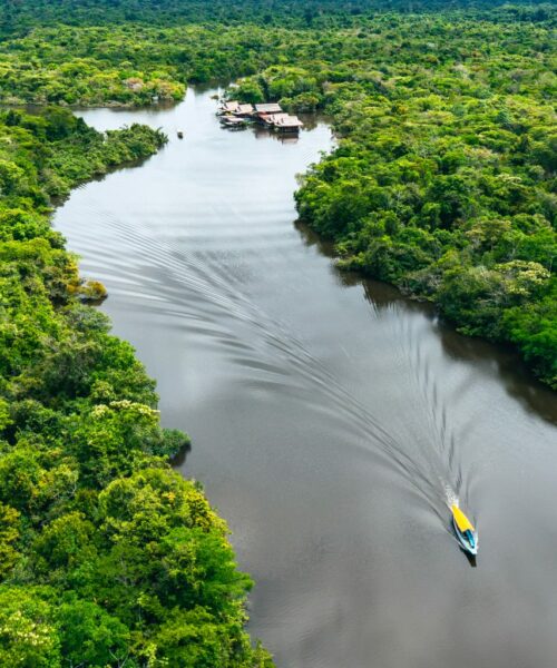 Plano prevê dividir Amazônia em 5 áreas de desenvolvimento