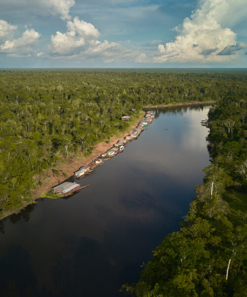   Projeto Janela B atua no combate ao desmatamento e emissão de gases poluentes na Amazônia