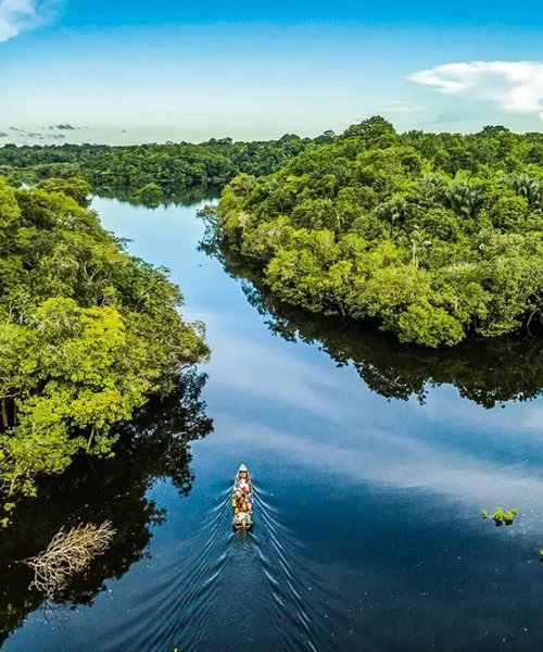 Comitê do Fundo Amazônia terá primeira reunião desde 2018, informa BNDES