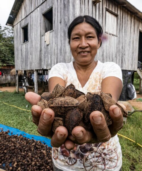 IFC lança Plataforma ELOS, programa inédito no mundo de incentivo à inovação e ações sustentáveis