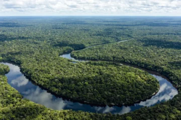 Mudança climática reduz capacidade da Amazônia absorver poluentes