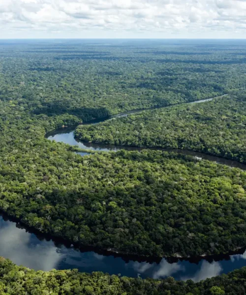 Mudança climática reduz capacidade da Amazônia absorver poluentes