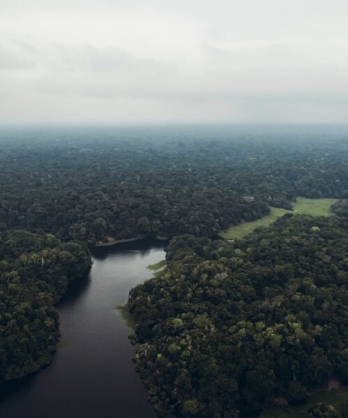 Amazônia será palco de evento sobre sustentabilidade e futuro do planeta
