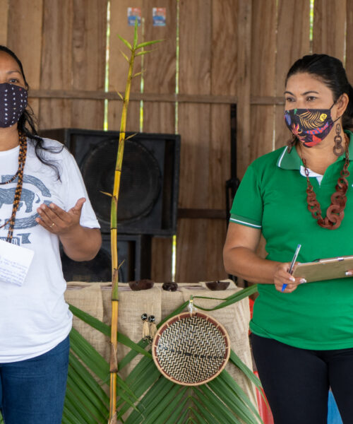 Seminário Mulheres da Floresta debate protagonismo feminino em territórios da Amazônia