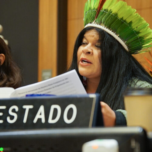 Ministra dos Povos Indígenas propõe alternativas para pessoas envolvidas na atividade garimpeira