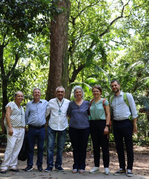 Inpa recebe comitiva para alinhar projeto de produção de corantes naturais a partir de frutos amazônicos