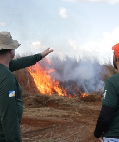 Naturatins apresenta ações de prevenção e combate aos incêndios florestais no Jalapão