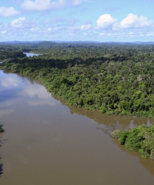 Pará lança plataforma para monitorar compromissos de descarbonização assumidos no Plano Estadual Amazônia Agora