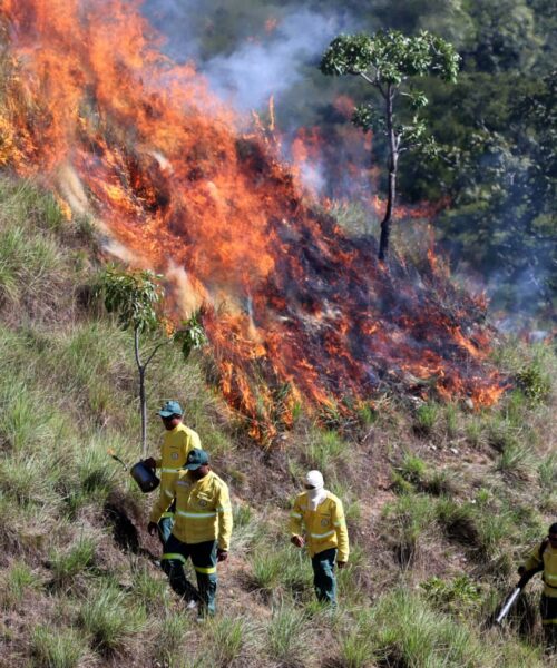 Área de Proteção Ambiental Serra do Lajeado, no Tocantins,  inicia temporada de queimas prescritas