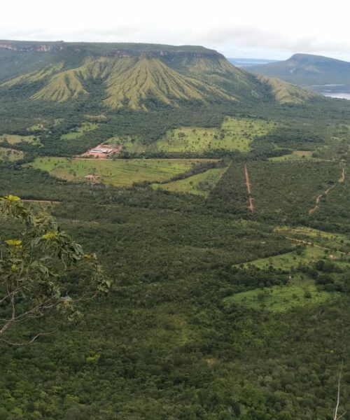 Tocantins estabelece pacote de medidas para redução de emissões e adaptação do estado ao cenário global de mudanças climáticas