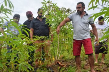Produtores rurais do Amapá recebem insumos do governo do Estado