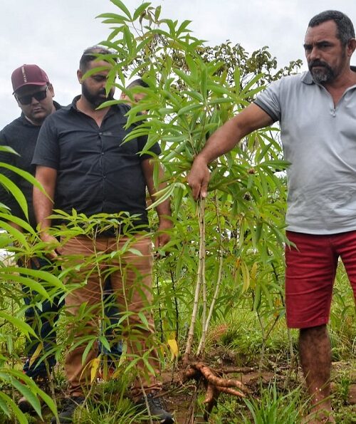 Produtores rurais do Amapá recebem insumos do governo do Estado