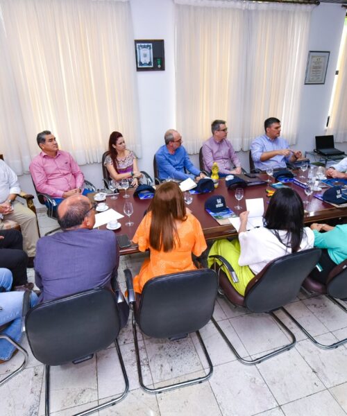 Governador de Roraima se reúne com entidade que promove negócios sustentáveis na Amazônia Legal