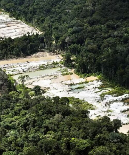 Força-tarefa destrói 10 garimpos ilegais no Amazonas