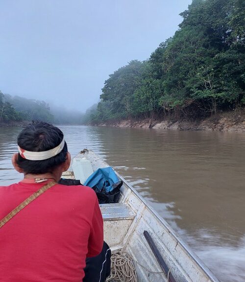 Povos indígenas vão integrar atividades de manejo participativo do Pirarucu, no Amazonas