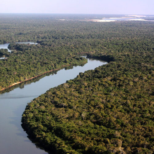 Acordos Internacionais e a Caminhada para uma Economia de Baixo Carbono