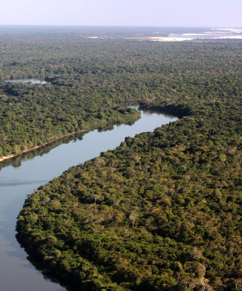 Pará lança programa inédito para unir mercado financeiro e a preservação dos rios