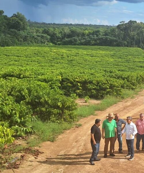 Fazenda Progresso serve de modelo para a implantação da agroindústria no Distrito Agropecuário da Suframa