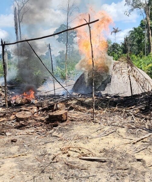Operação destrói 18 fornos ilegais de fabricação de carvão no Amazonas