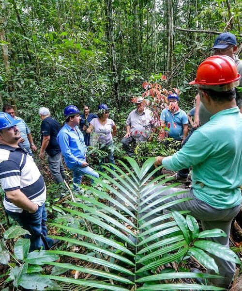 Amapá abriga maior percentual de áreas protegidas do país
