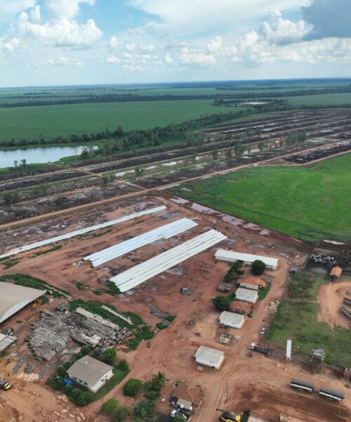 Licenciamentos ambientais incentivam atividades econômicas em Rondônia