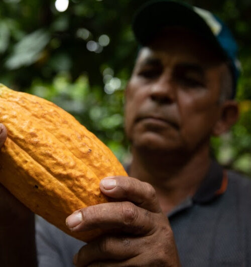 Projeto destrava crédito público para agricultores familiares da Amazônia