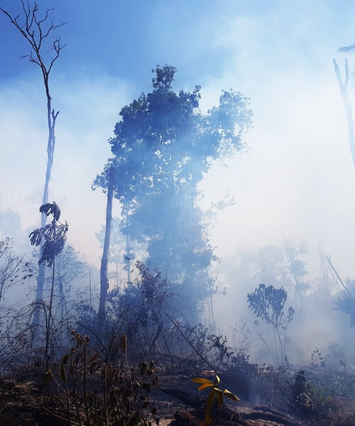 Meses de seca abrem brecha para propagação de incêndios causados por ação humana na Amazônia
