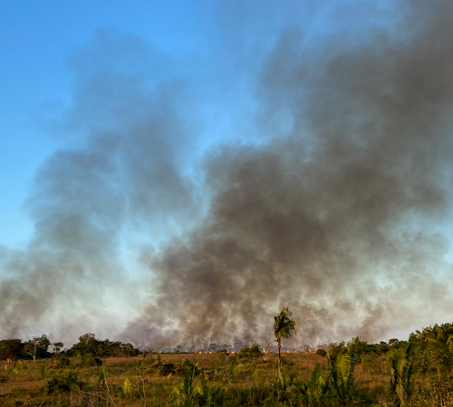 Ministério Público de Rondônia lança campanha contra as queimadas urbanas e rurais