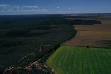 Evento nacional reúne setores para fortalecer a implementação do Código Florestal