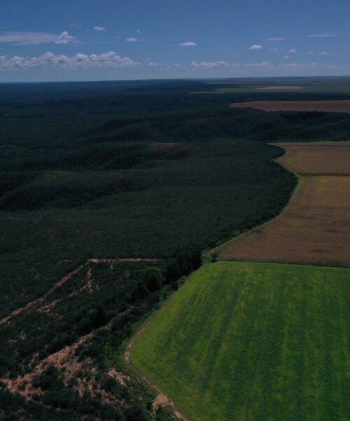 As fazendas podem ser aliadas nas iniciativas de mitigação das mudanças climáticas, afirma pesquisadora