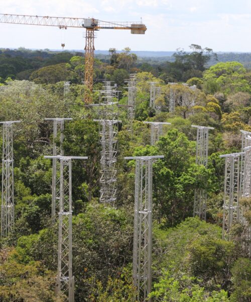 Programa científico que monitora impacto das mudanças climáticas sobre Amazônia entra em nova fase