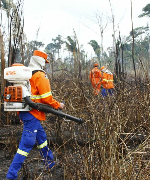 Rondônia registra queda nas ocorrências de incêndios florestais