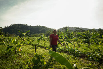 No Pará, projeto busca fortalecer agricultura familiar com ênfase na produção de cacau e é aliado na proteção da floresta