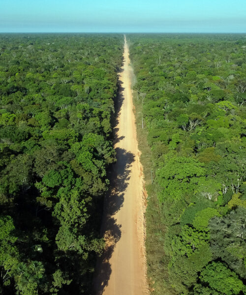 BR-319, no Amazonas, precisa de mecanismos de conservação imediatos para mitigar impactos ambientais