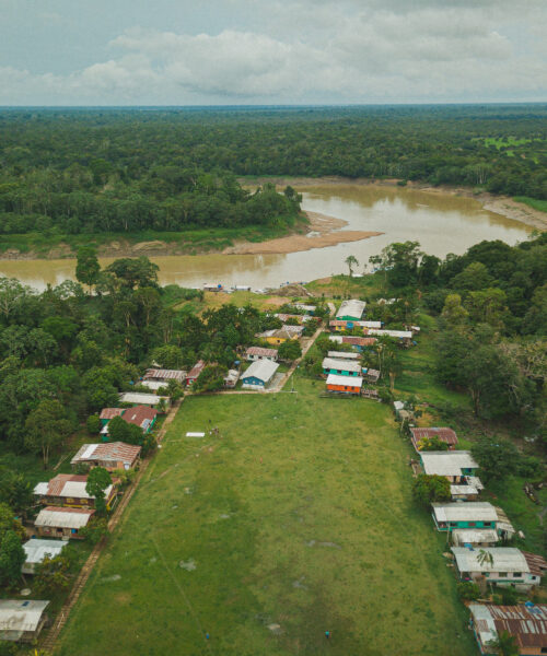 Dia da Amazônia: saiba como projetos ambientais contribuem para conservação da floresta