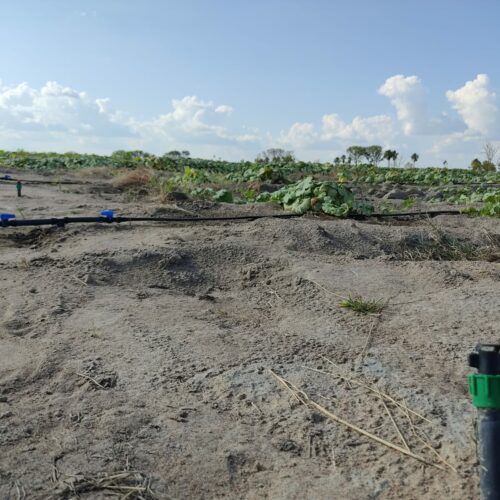 Governo libera R$ 64,3 milhões para enfrentar efeitos do El Niño e apoiar indígenas e agricultores