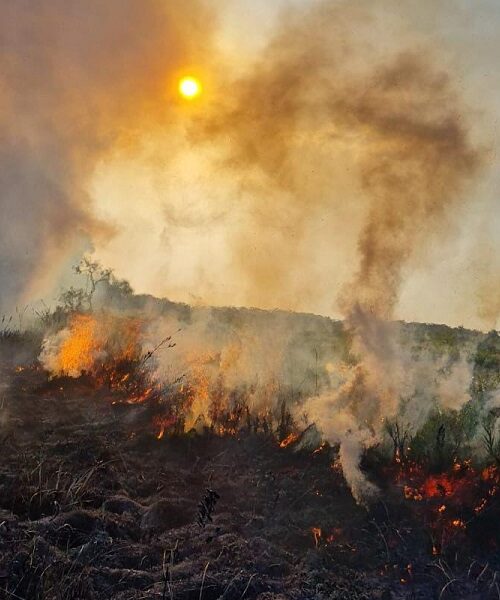 Corpo de Bombeiros registra em 33 dias, 150 ocorrências de incêndios florestais no Amapá