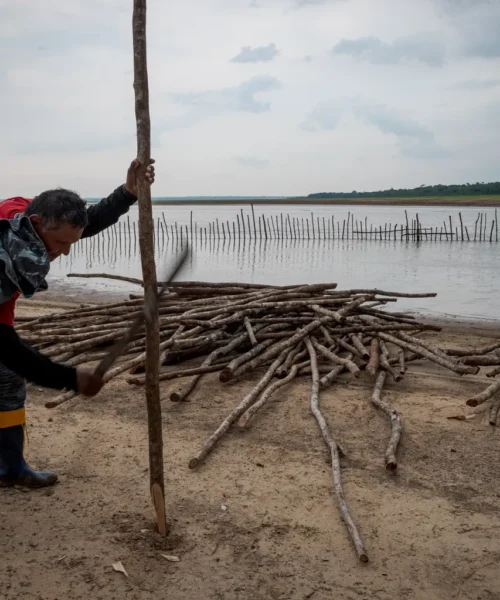 Força Tarefa monta estratégia de emergência para salvar botos no Amazonas