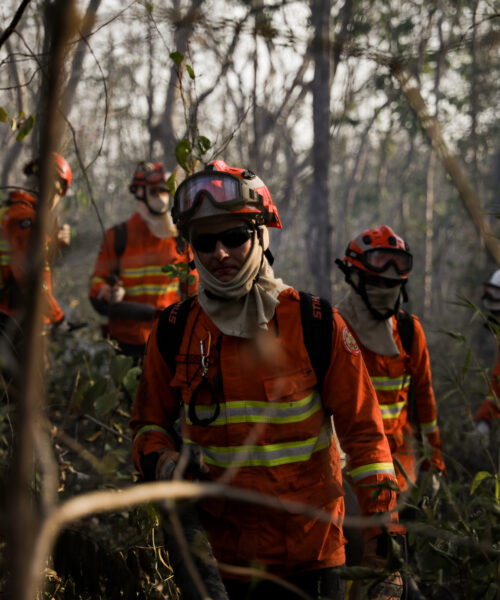 Fogo descontrolado na Amazônia ameaça ganhos ambientais e proteção do bioma