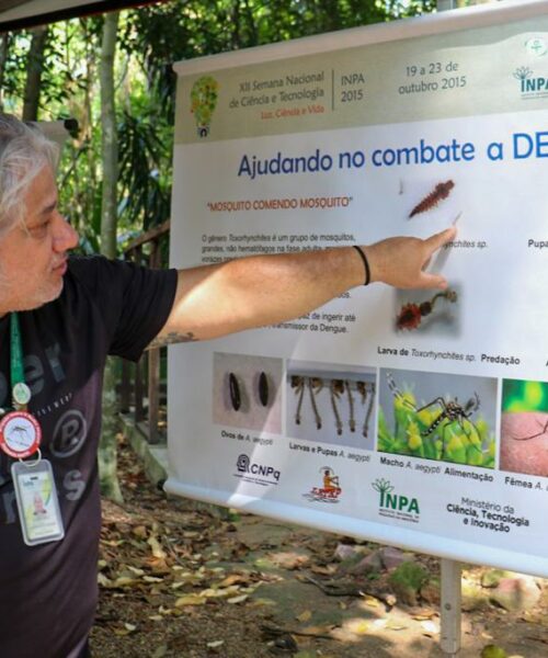 Mosquito come mosquito: laboratório destaca importante pesquisa sobre controle biológico de mosquitos Aedes