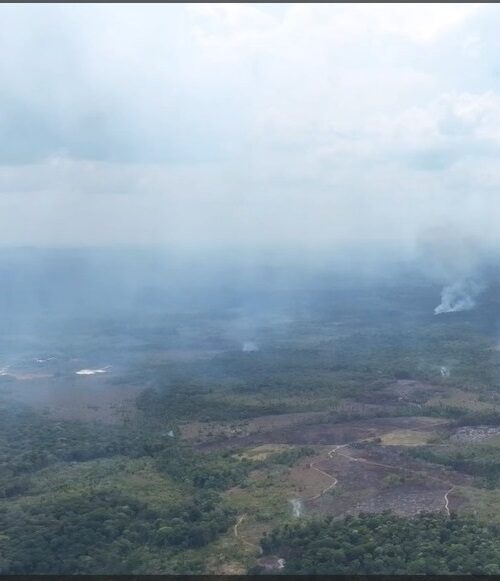 Governo do Amapá decreta situação de emergência em todo o estado devido ao aumento do registro de queimadas